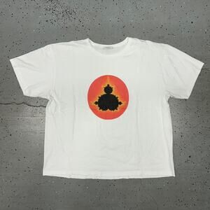 VTG RARE Mandelbrot Fractal Mathematics t-shirt on the HANES Her Way Tag